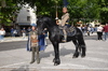 Immagine <b>REG_8223</b>